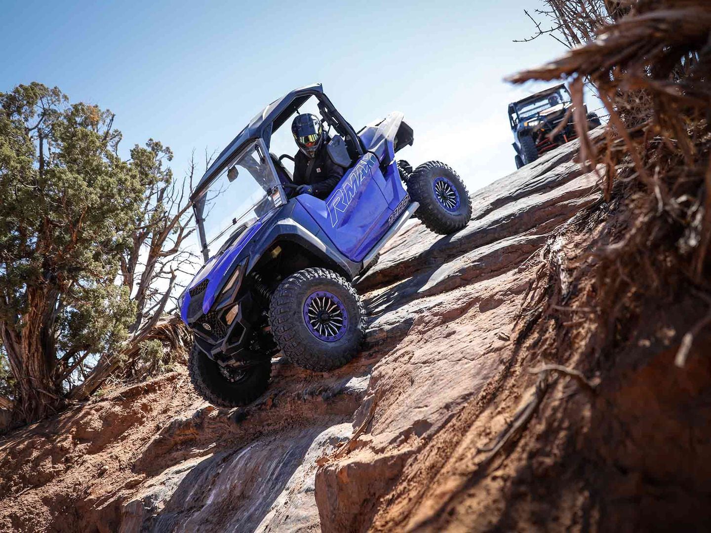 Fins and Things Gallery UTV Driver