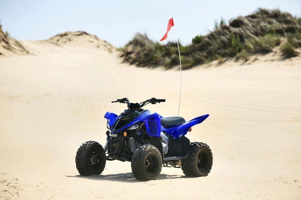 Raptor outlet beach buggy