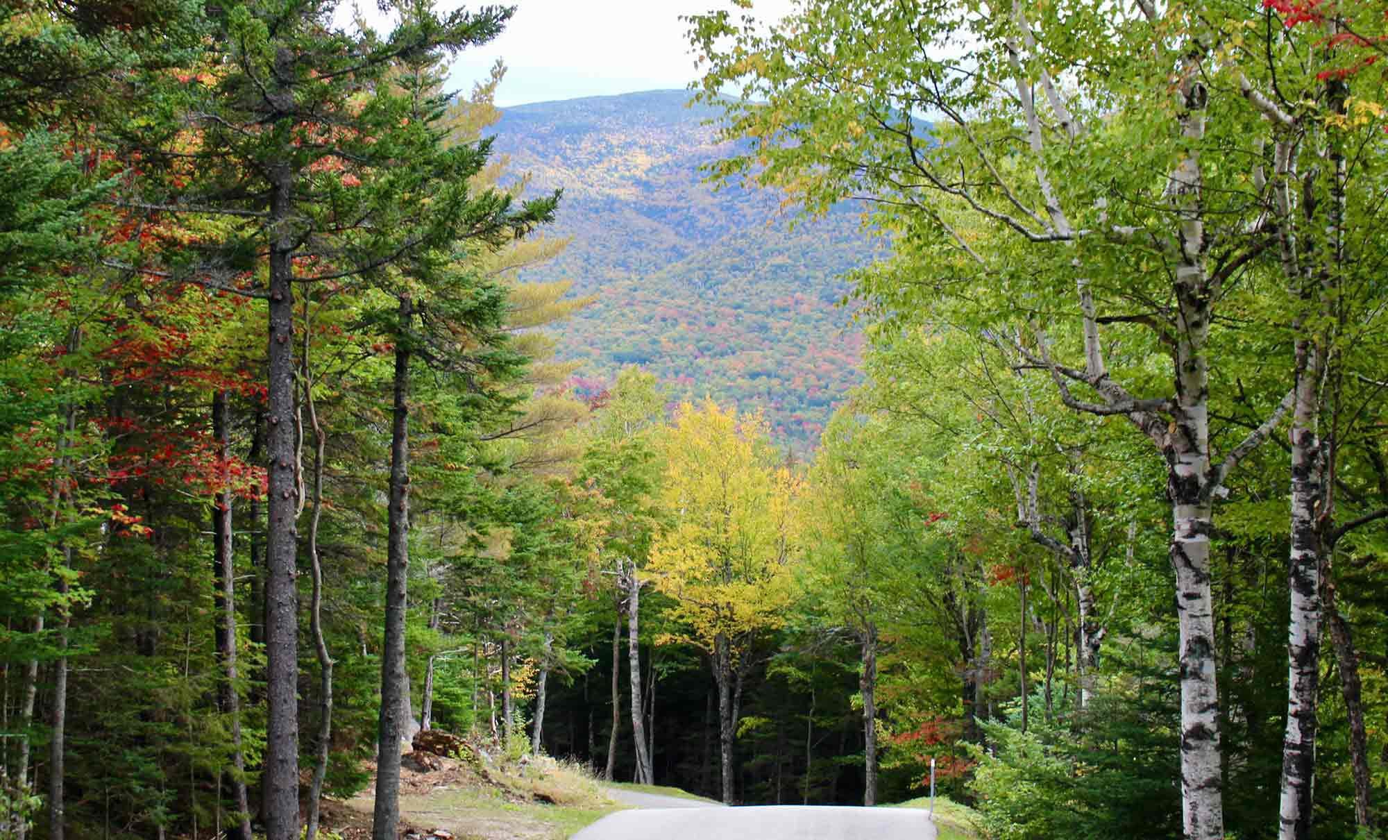 Full trees blocked our view in many places, but it was still fabulous.