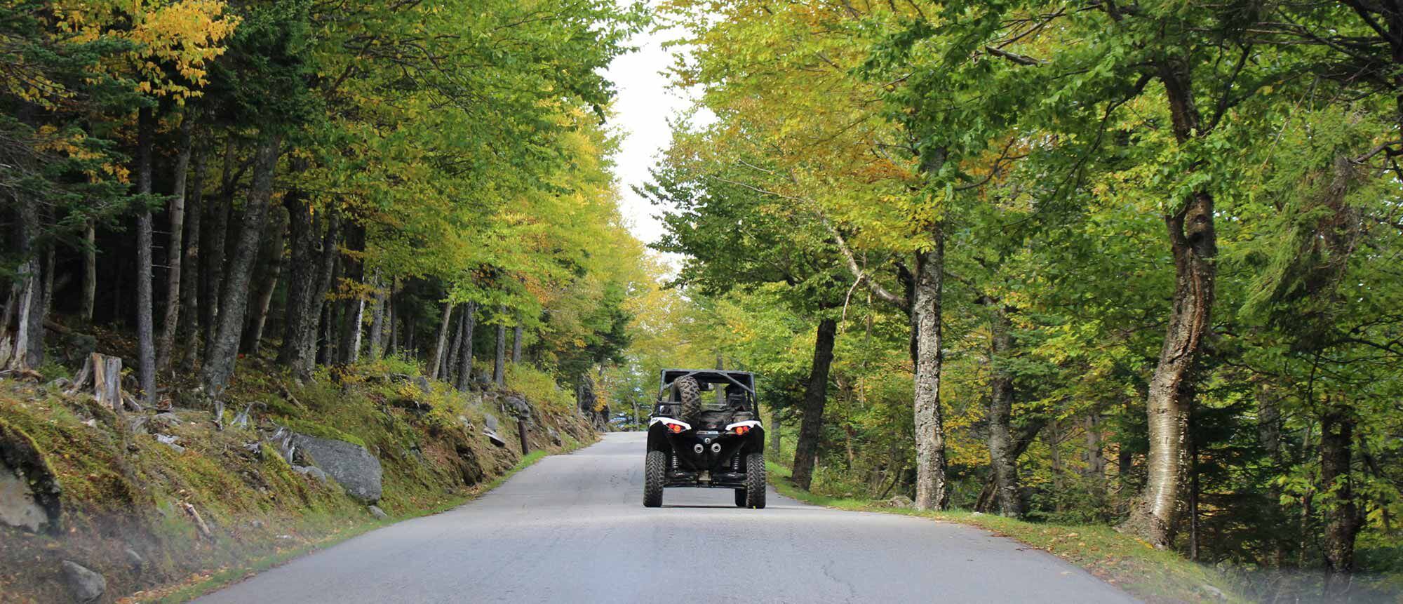 The first leg of the climb is a canopy of gorgeous foliage.