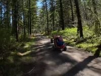 50hp barbie jeep hot sale